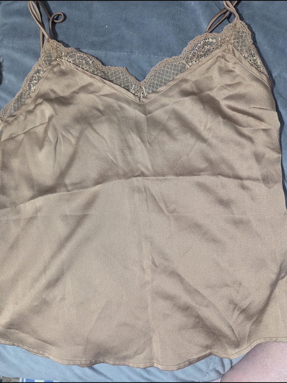 Abercrombie & Fitch Taupe Lace-Trim Satin Cami